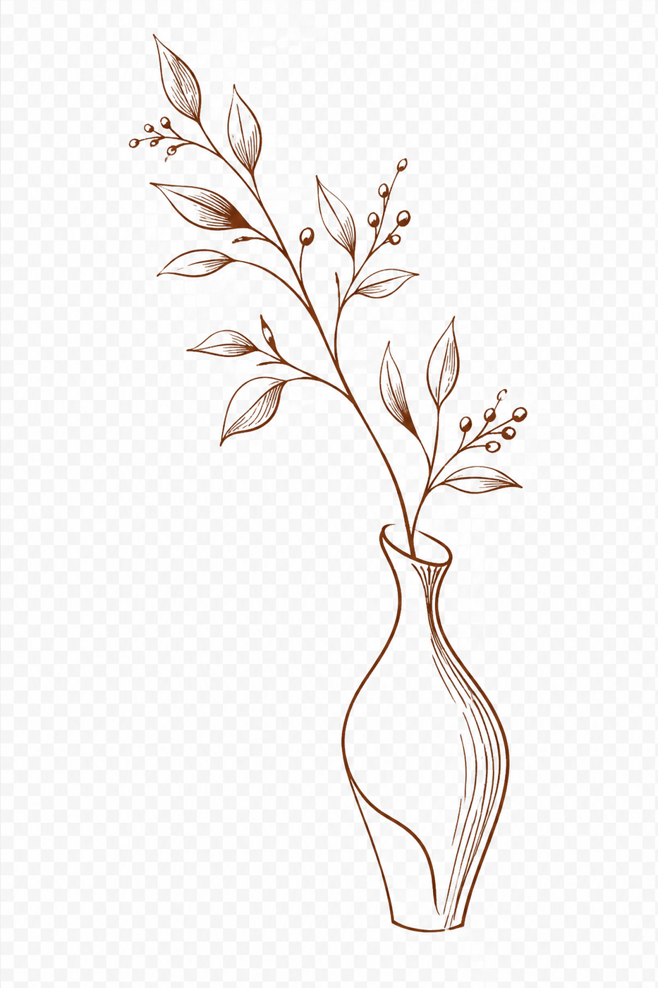 Coffee plant illustration
